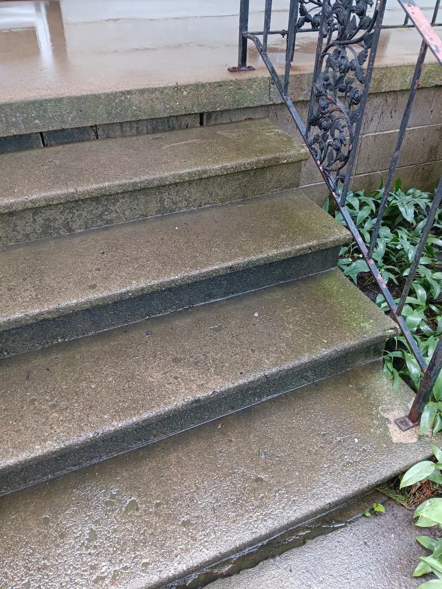 Cleaned concrete entry steps beside the restored railing.