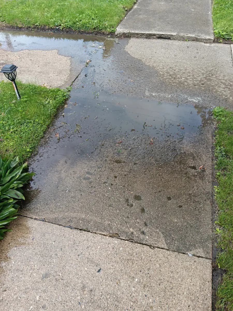 Sidewalk before pressure-washing.